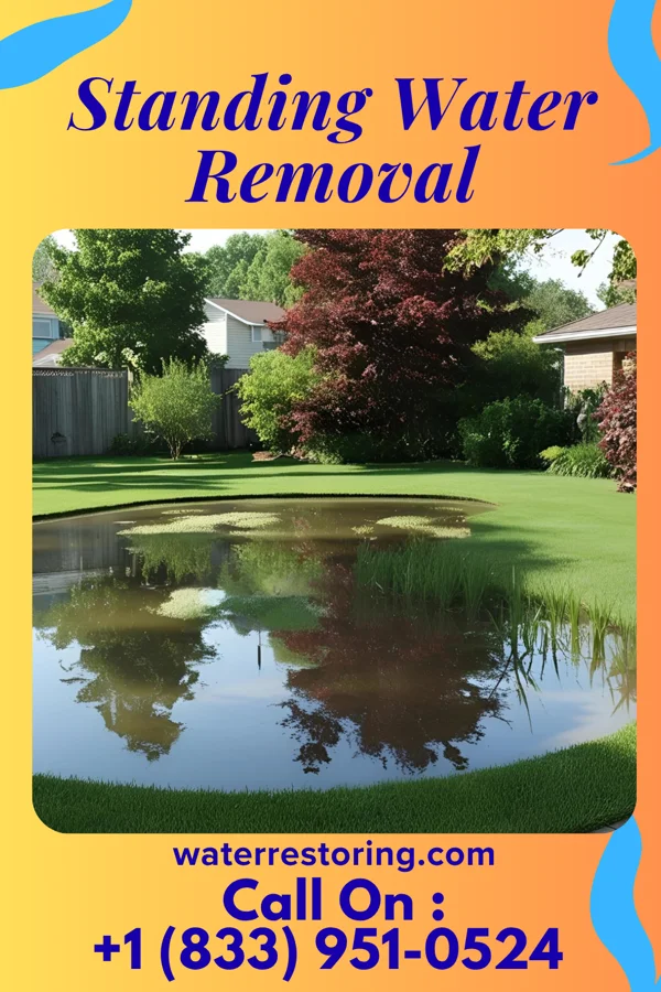 Standing Water Removal in Alexander, ND